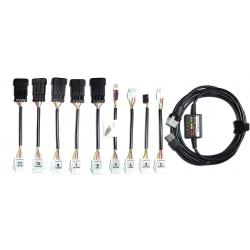 PTftdiz10  Professional LPG CNG interface with 10 connectors