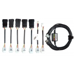 PTftdiz8  Professional LPG CNG interface with 8 connectors
